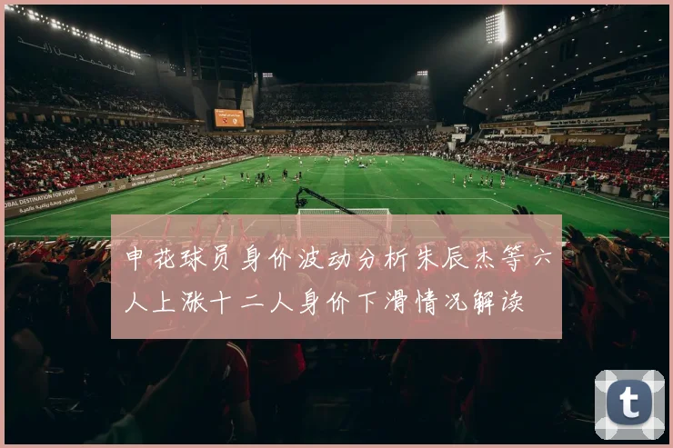 申花球员身价波动分析朱辰杰等六人上涨十二人身价下滑情况解读